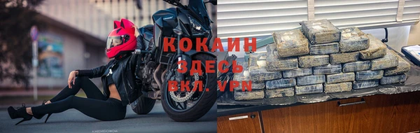 индика Володарск