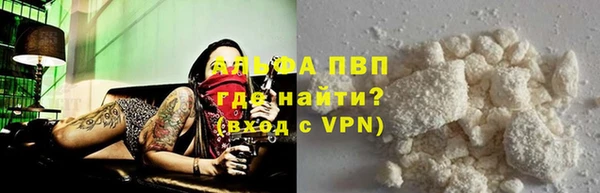 индика Володарск