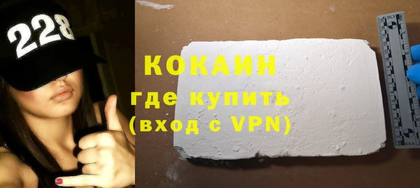 индика Володарск
