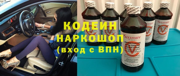 индика Володарск