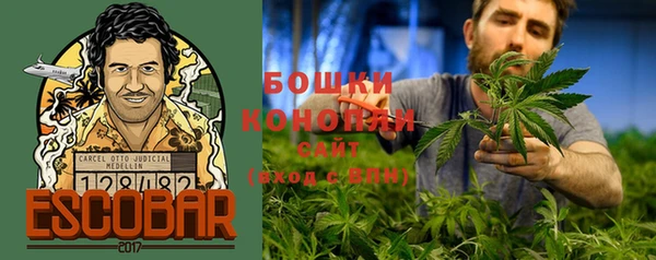 индика Володарск
