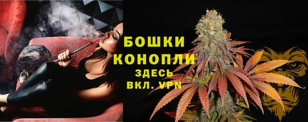 2c-b Верхний Тагил