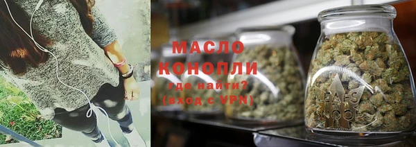 индика Володарск