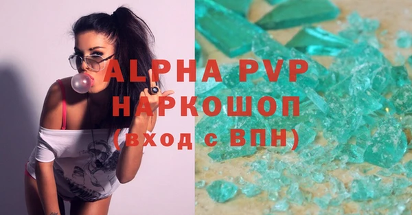 индика Володарск