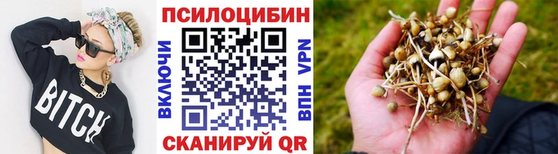 Галлюциногенные грибы Cubensis  Пермь 