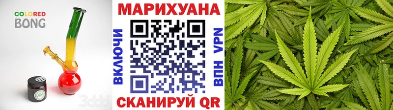 Конопля сатива  Пермь 